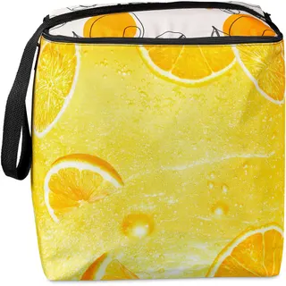 Drakensberg 27-Litre Cooler