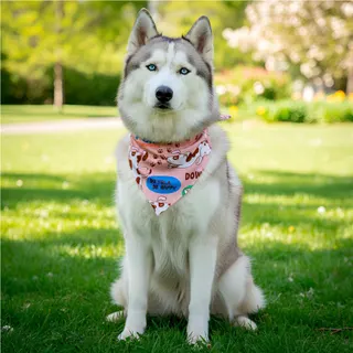 Bosco Large Polyester Dog Bandana