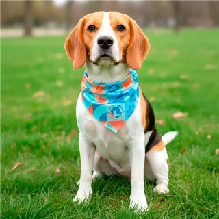 Tyson Small Polyester Dog Bandana